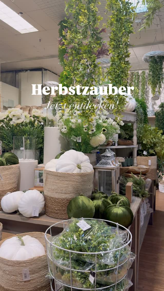 Herbstfans aufgepasst! Unsere Regale sind voller herbstlicher Lieblingsstücke. Kommt vorbei, lasst euch inspirieren und findet eure neue Herbstdeko🍂, #duisburg #herbstdeko #interior #dekoideen