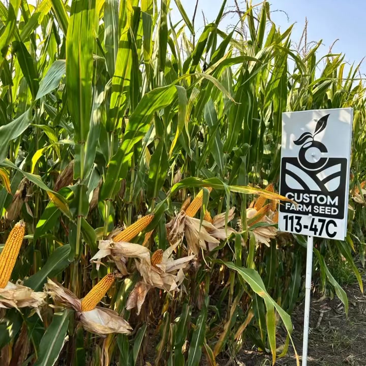 Make your upcoming farm season profitable with Custom Farm Seed! Give ...