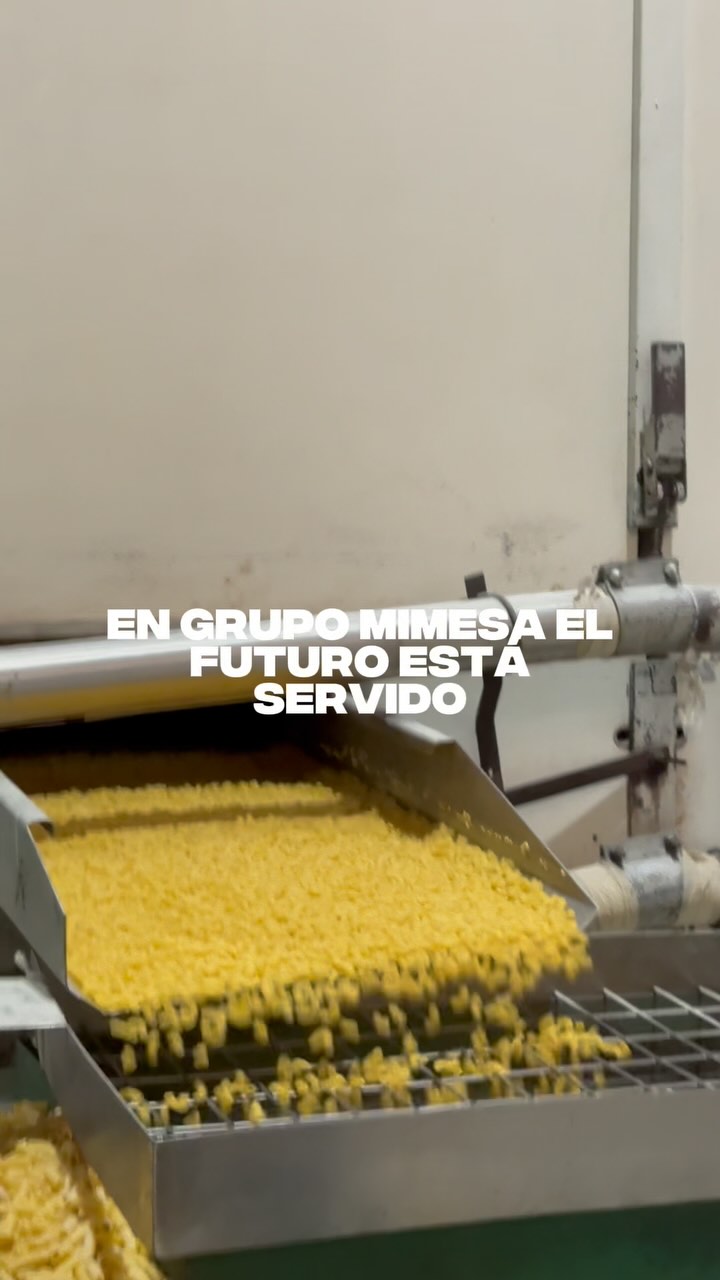 Grupo Mimesa