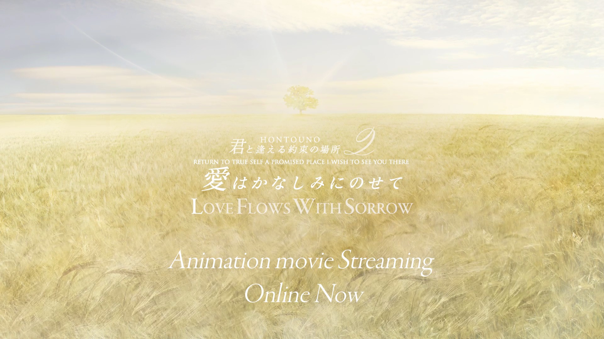 MARTH映画 君と逢える約束の場所 発売記念コレクターズエディション
