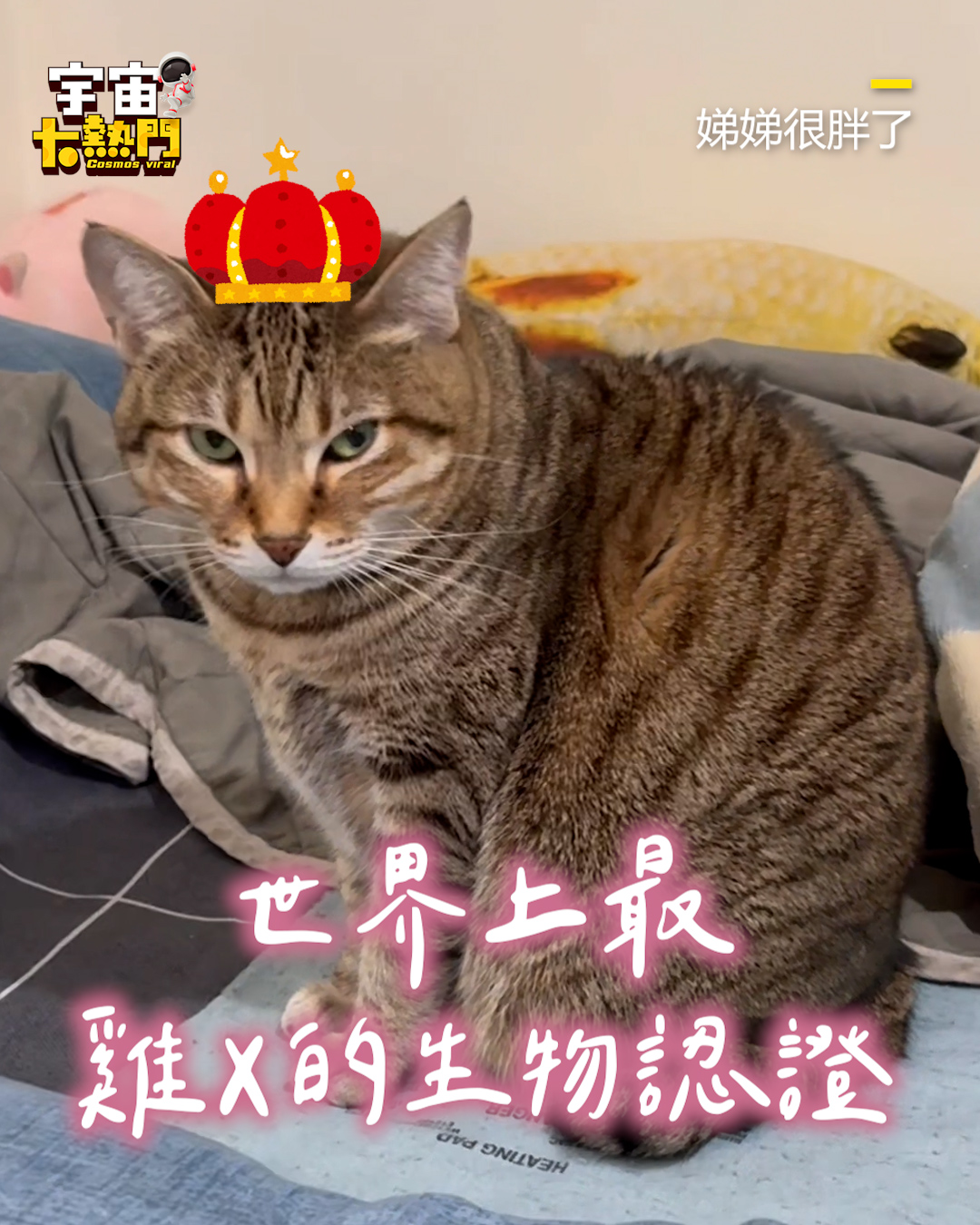 坐在你旁編：齁那個小山竹縮在電熱毯上>