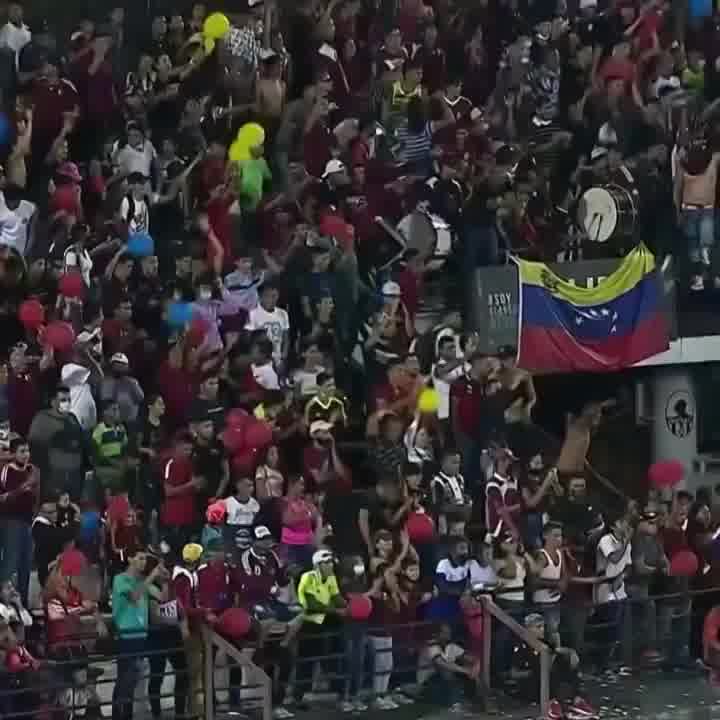 SeleVinotinto