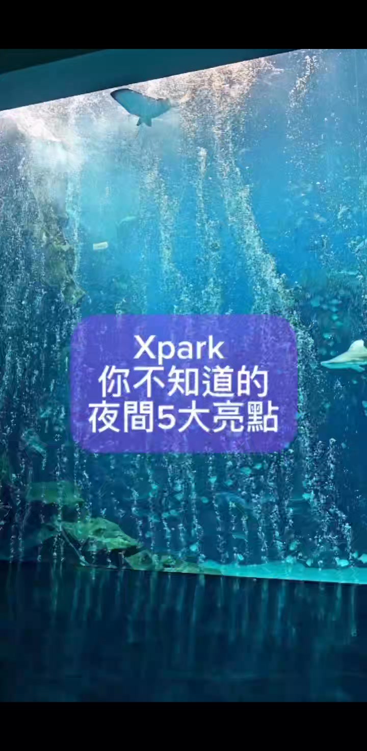 #Xpark 夜間限定｜星光票8折開放中 五大亮點，等你發現： 海洋之門絕美投影：如夢似幻的入口投影，拉開夜間探險的序幕。 福爾摩沙波光倒影 ...