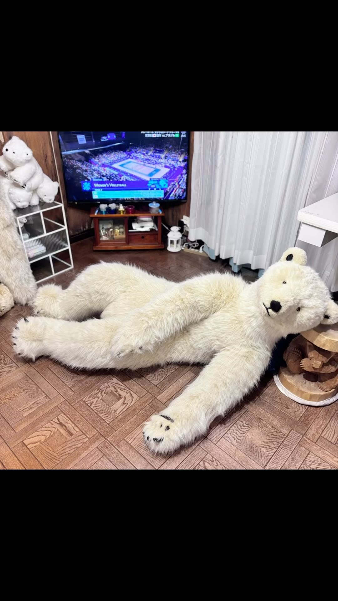 POLAR teddy BEARS.jp ホッキョクグマぬいぐるみ