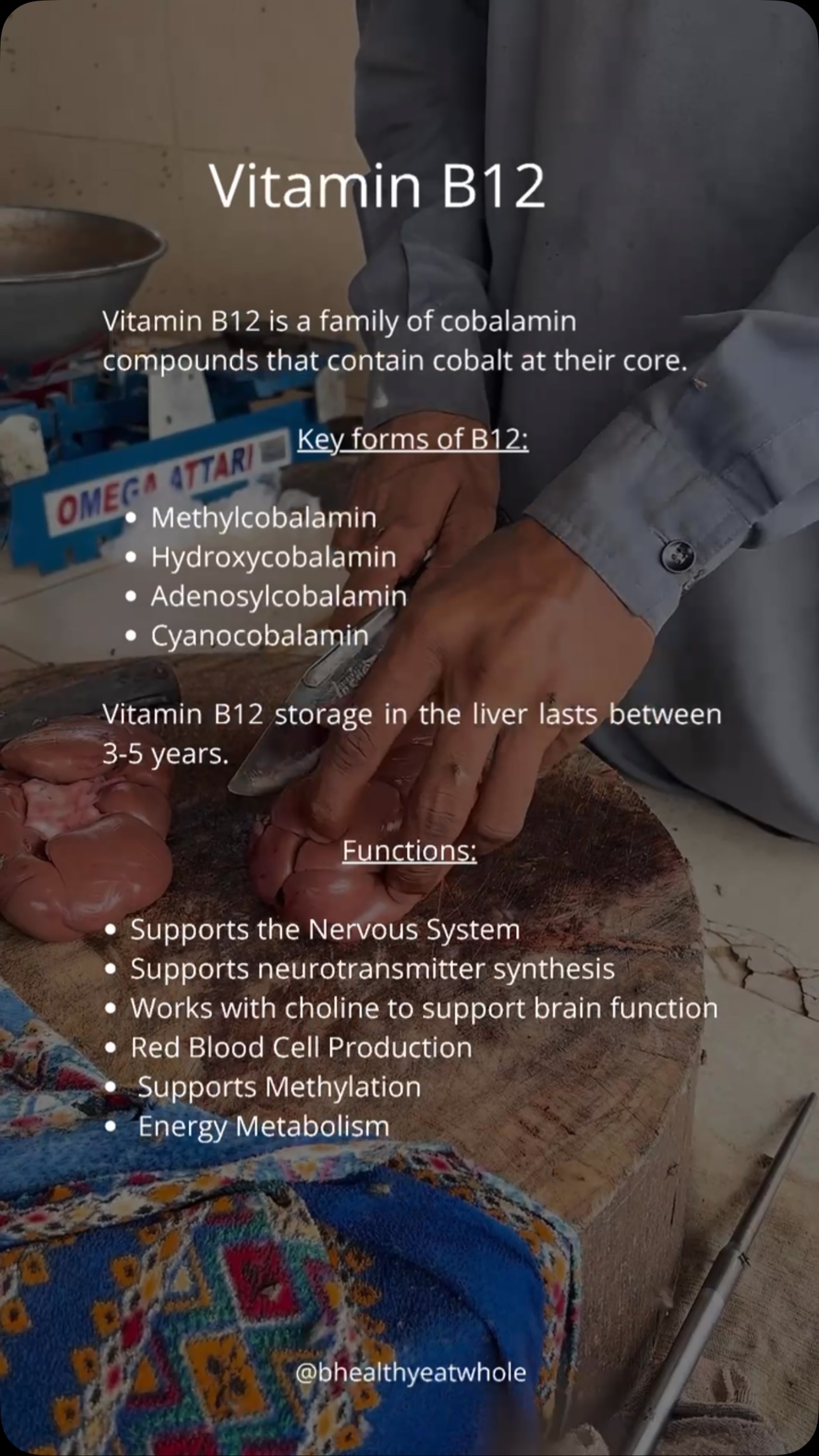 Did you know that vitamin B12 is made by bacteria—not plants or animals? 🧬, Vitamin B12 is essential for:, 🧠 Healthy brain and nervous system function, 🩸 Red blood cell production, 🧬 DNA methylation 
