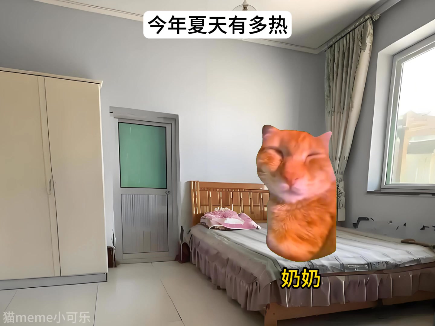 今年夏天到底有多热 #猫meme #高温 #搞笑 #开空调 | cheems Micheel | Facebook