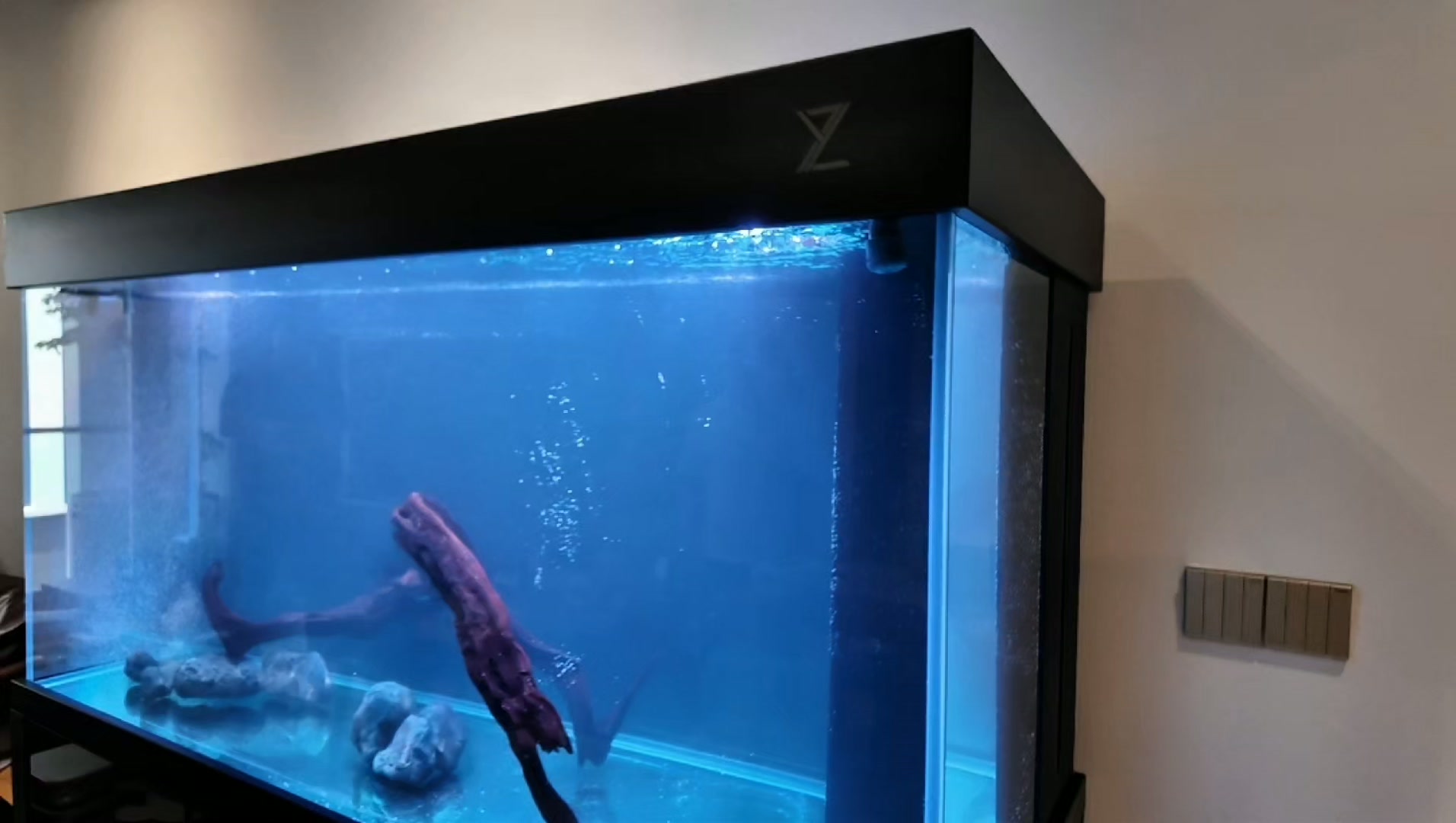 ZY Fish Tanks | Singapore Singapore