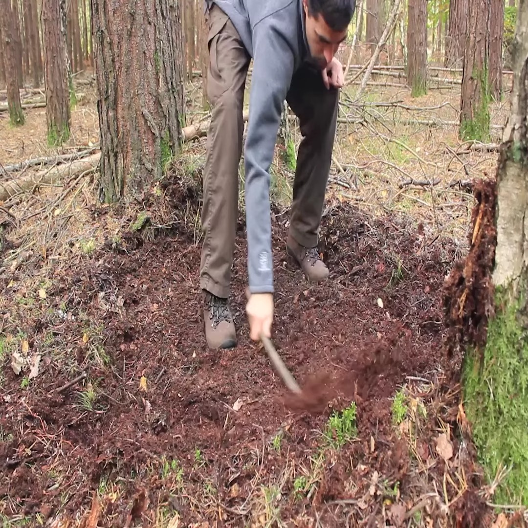 Alone built a Super Bushcraft Camp in the Wilderness from Start to ...