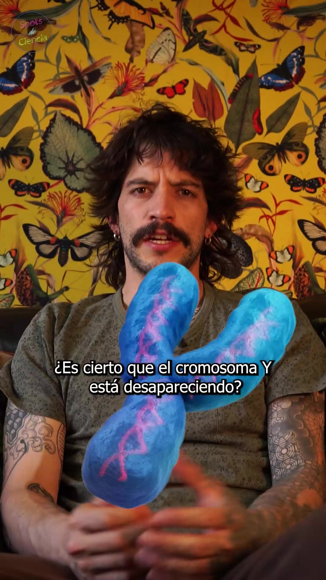 Porn Picture