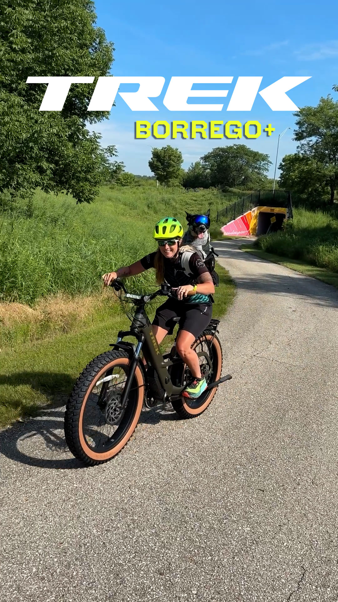 trek pedal assist bicycle Verve+ 3 E-Bicycle with Electric Assist.  Petersons Ski and Cycle and workouts Trek's first eBike with a