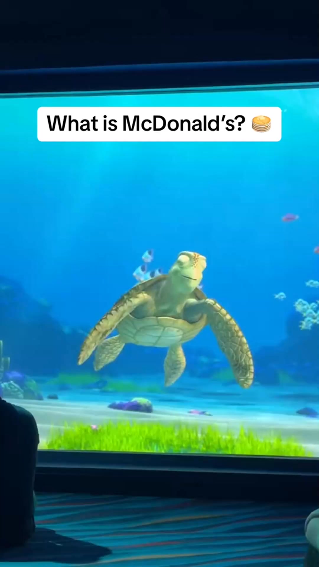 What is McDonald’s? What is... - Turtle Crush Talk 2.0 | Facebook