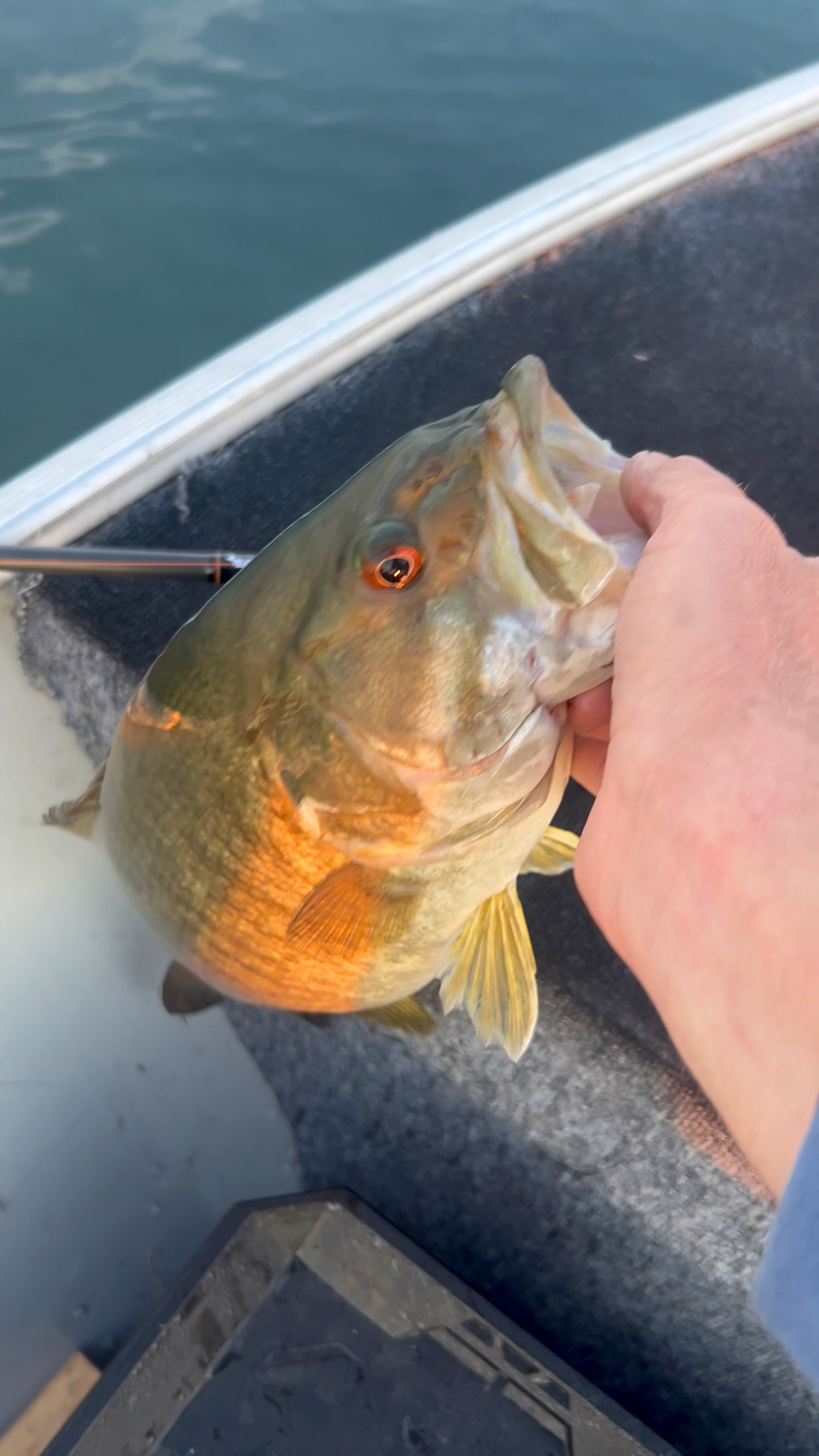 2 0 weighted hooks VMC Drop Dead Hook 3/32 oz / 5/0 adam Model:BV-600NN-SPJ Quartz Clock Pendulum – Tungsten Weighted