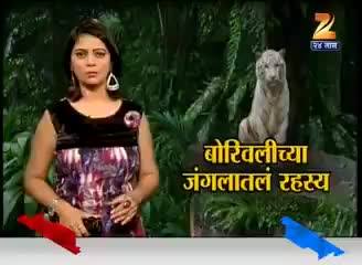 We say NO to ZOO