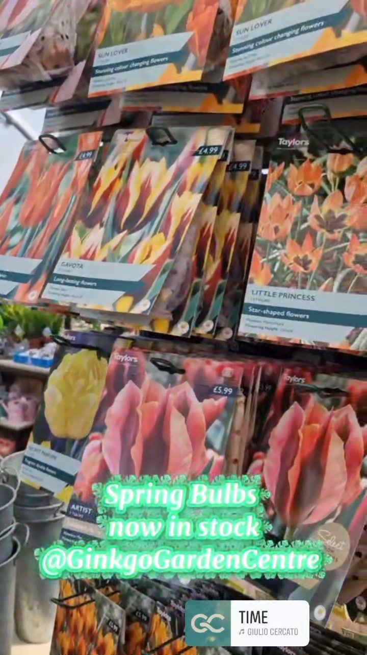 Ginkgo garden centre added a new - Ginkgo garden centre