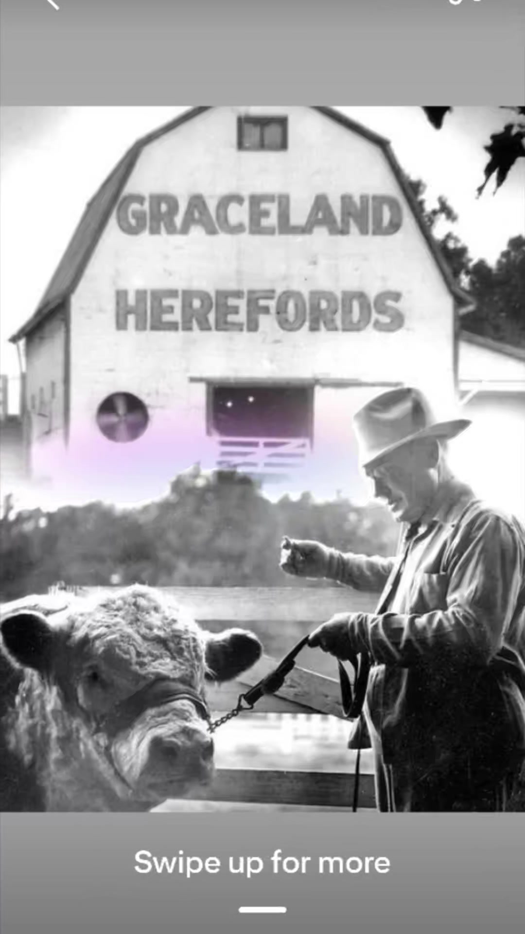 Elvis purchased Graceland in 1957,, Elvis was King of Rock n Roll & was ...