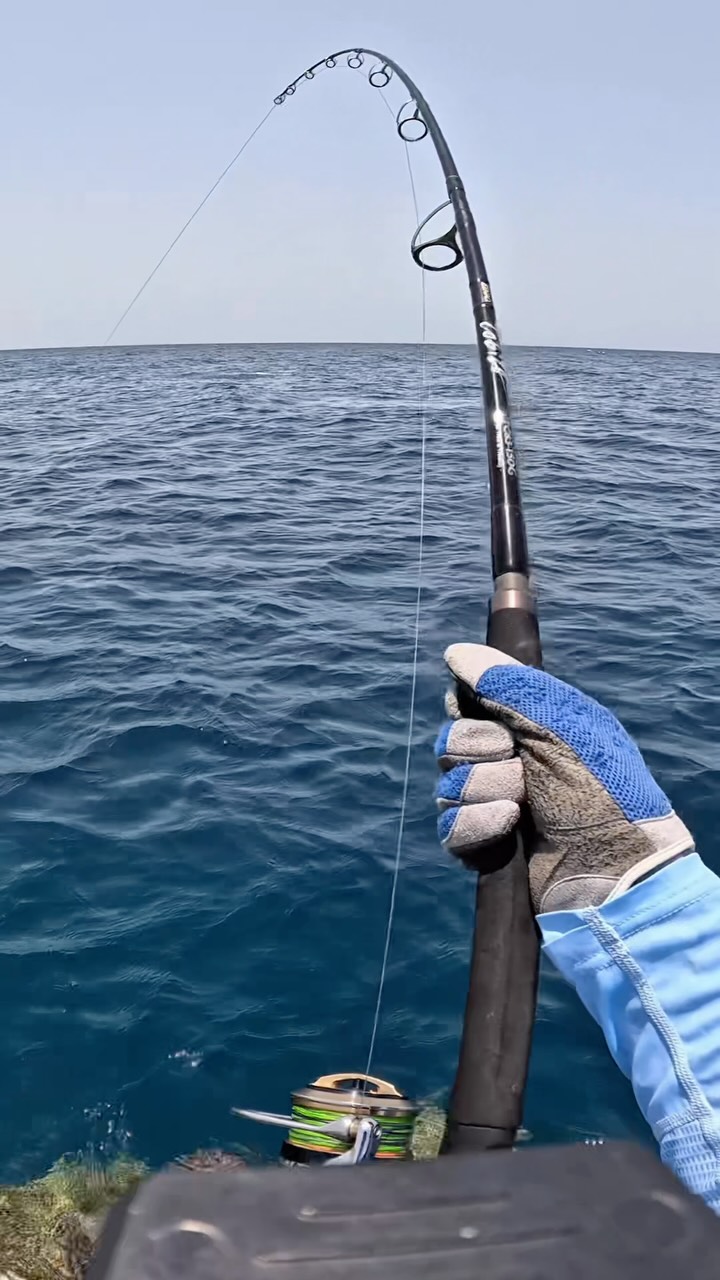 Nothing beats the run of a hooked monster Rod : Zenaq Accura Defi