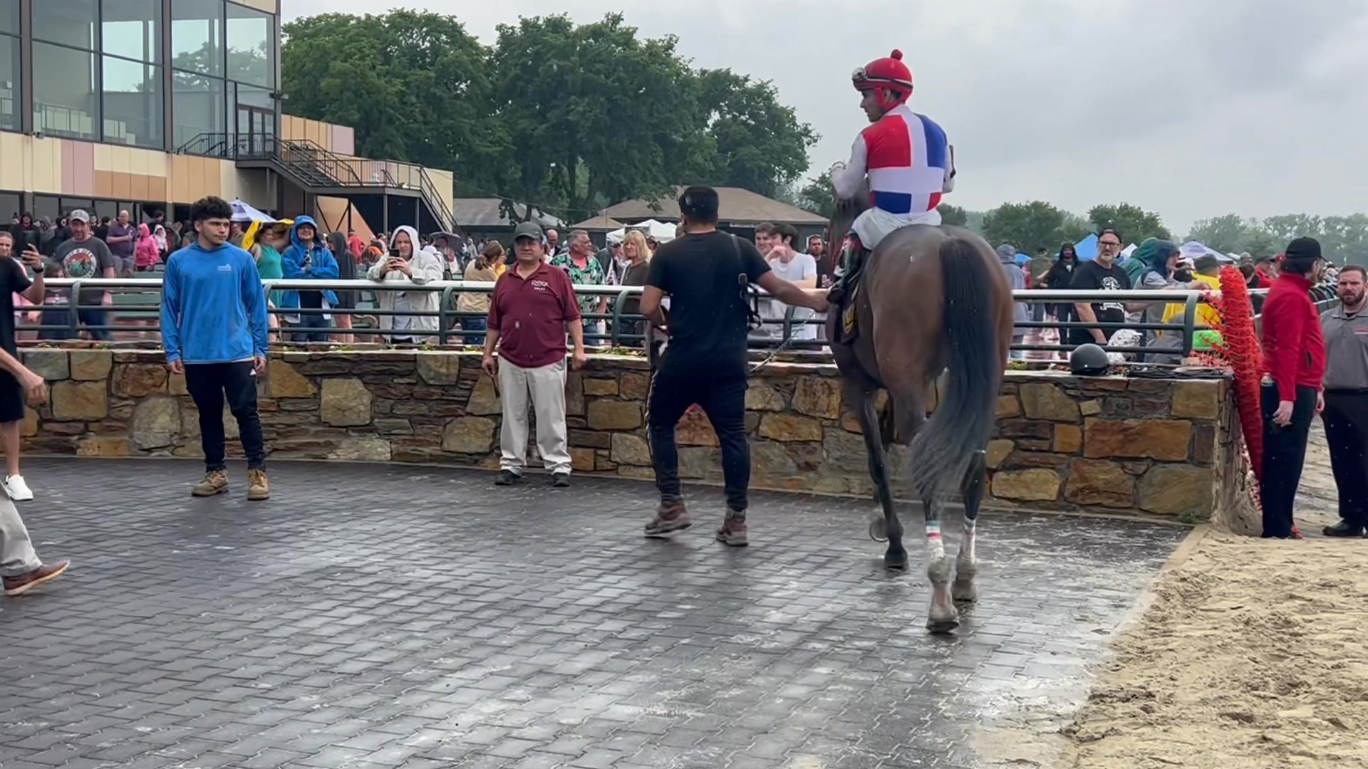 Let's Go Racing Parx - #DidYouKnow: #Thoroughbreds have luggage! What ...