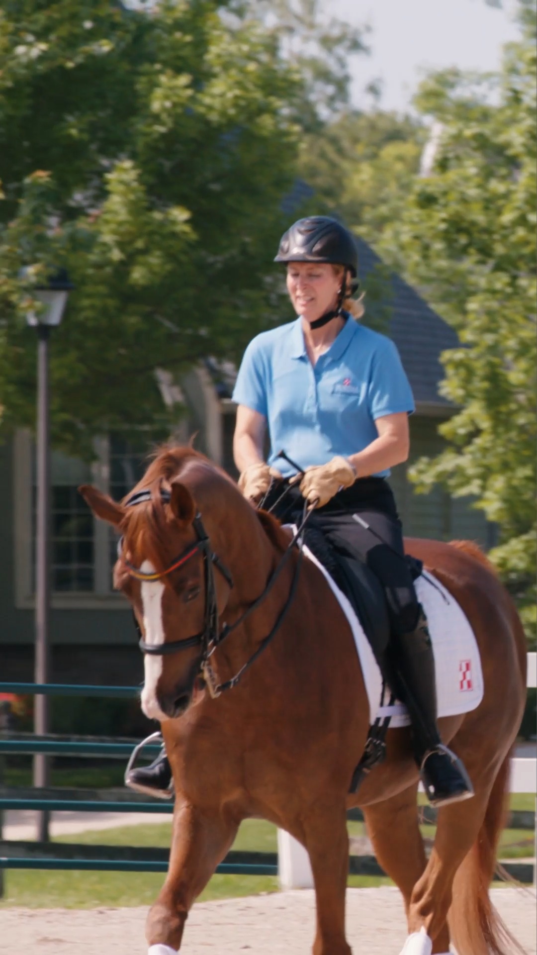 From feeding and care to saddling up and riding out, we fuel your ...