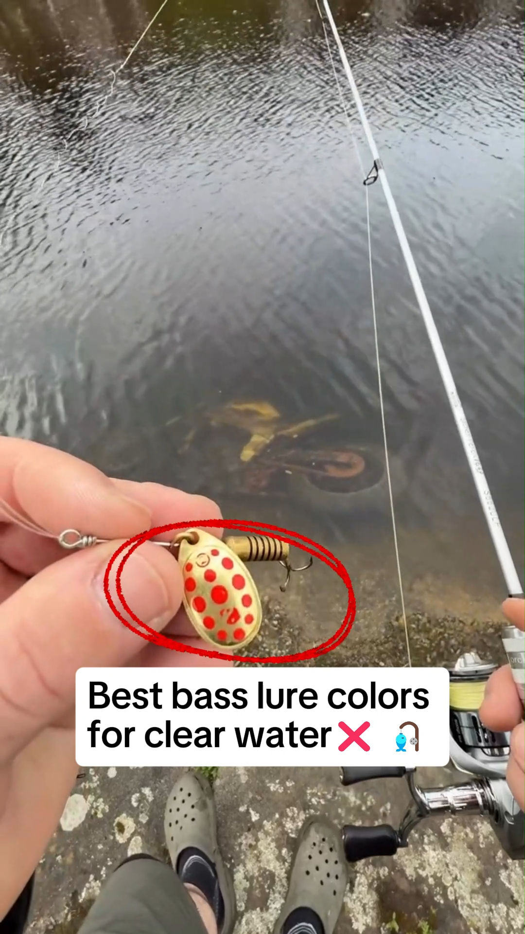 big fishing lures sa1 Megabass Vision OneTen +1 SW Anyone used these KastKing Recommended+line_feat025:6 - 12 kg Picture may differ slightly SKU:BTR8000OC