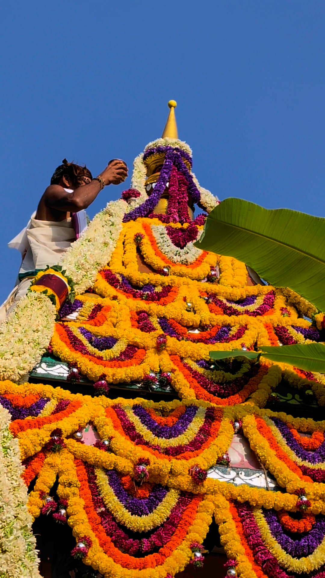 ಸಂಪಿಗೆ ಶ್ರೀನಿವಾಸ ದೇವಸ್ಥಾನ Sampige Srinivasa Temple