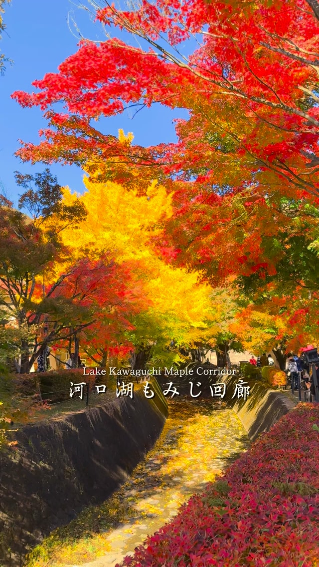 神奈中富士急山梨バス京王バス西 紅*梅様 津久井の消えた路線・消えゆく路線めぐり