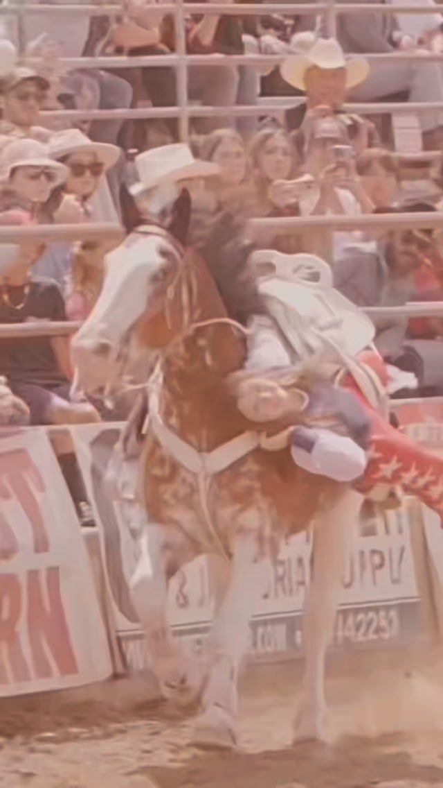 Stellar Trick Riding Cowgirls have a few weekends available in 2026 and ...