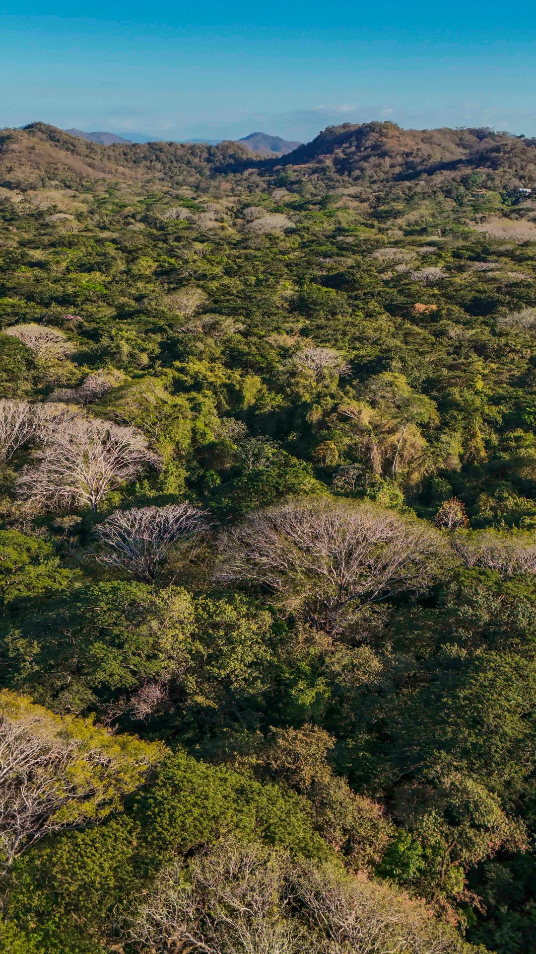 Reserva Conchal | Brasilito