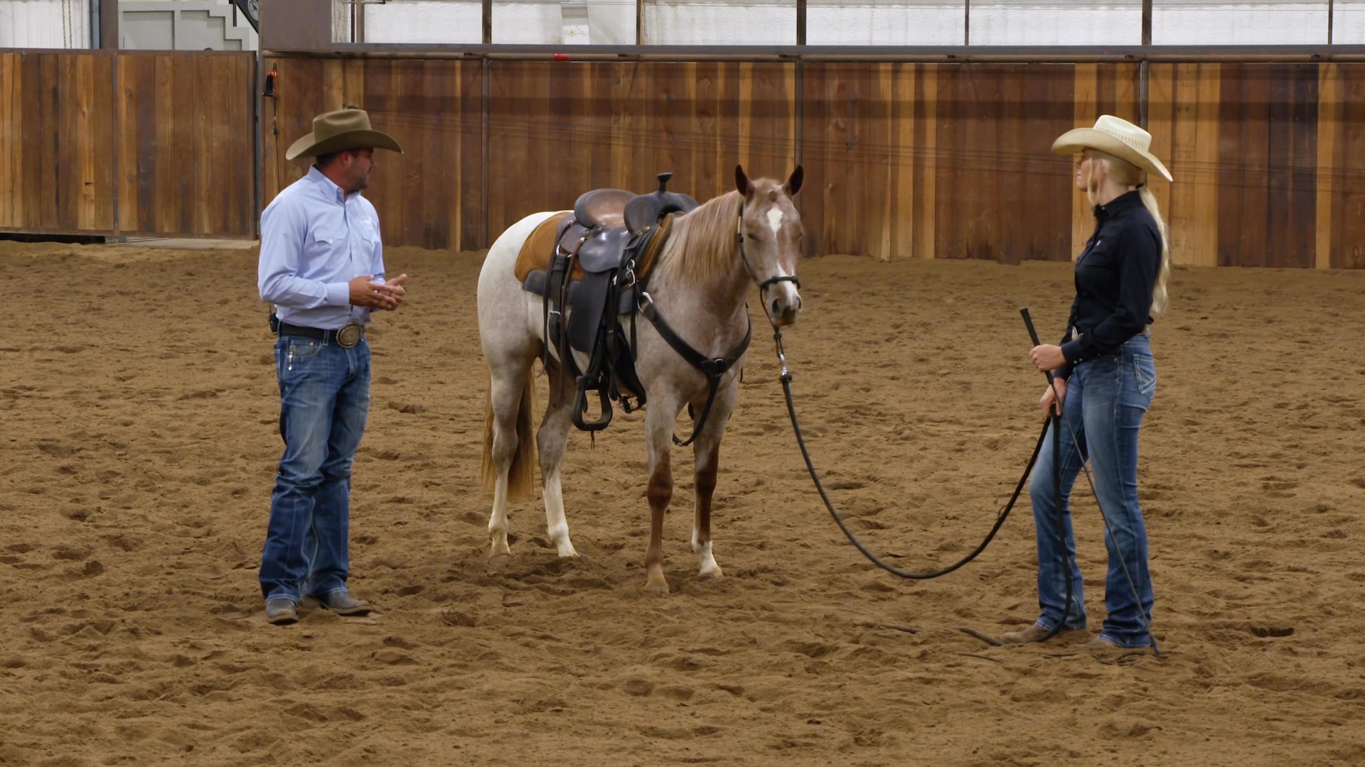 2025 Colt Starting: Come To Me Exercise Professional Clinician 