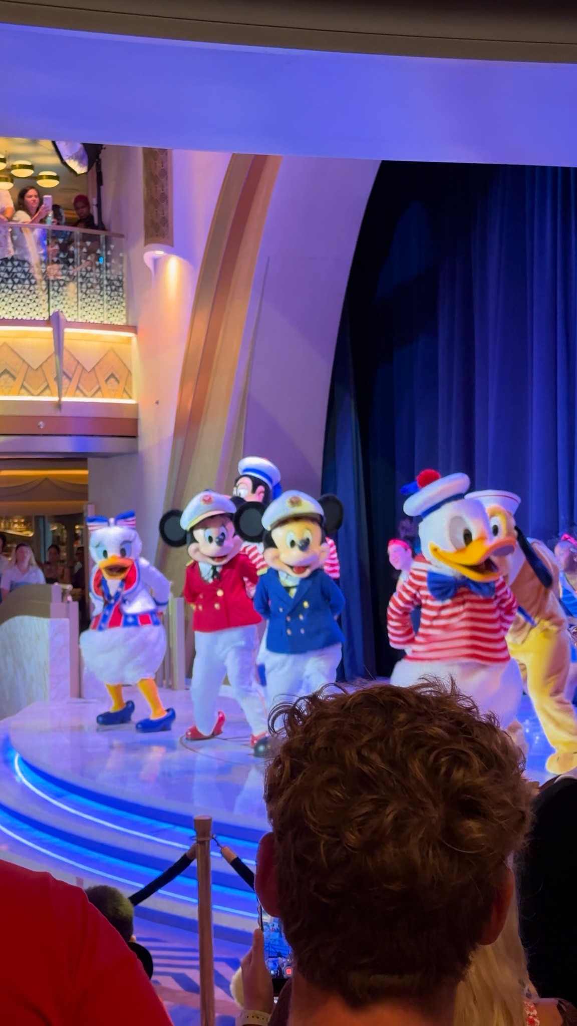 ディズニー クルーズ ライン タオルケット ディズニー クルーズ ライン タオルケット Disney Beach Towel