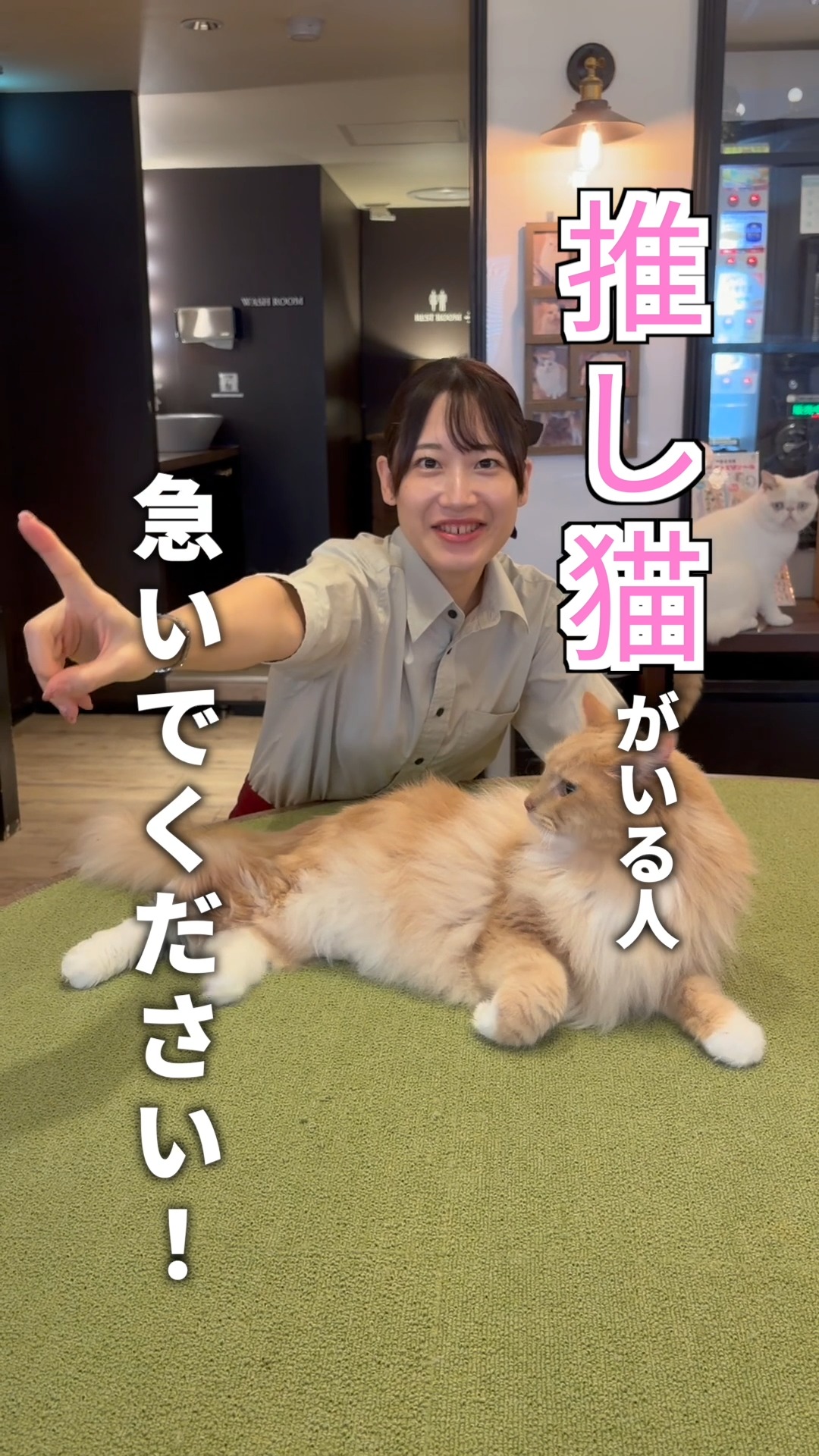 CAT CAFE MOCHA (@catcafemocha) • Facebook