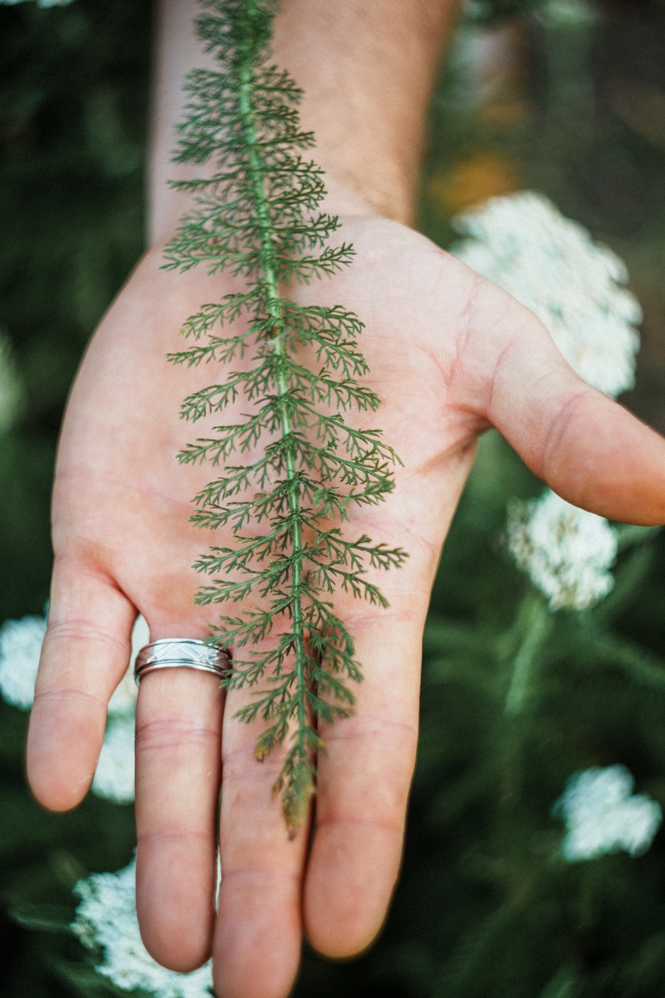 Changing poison into medicine begins when we face difficulties 