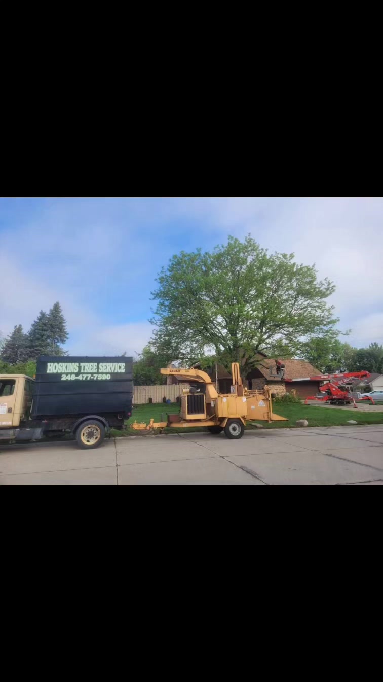 Hoskins Tree Service Inc. | Farmington Hills MI