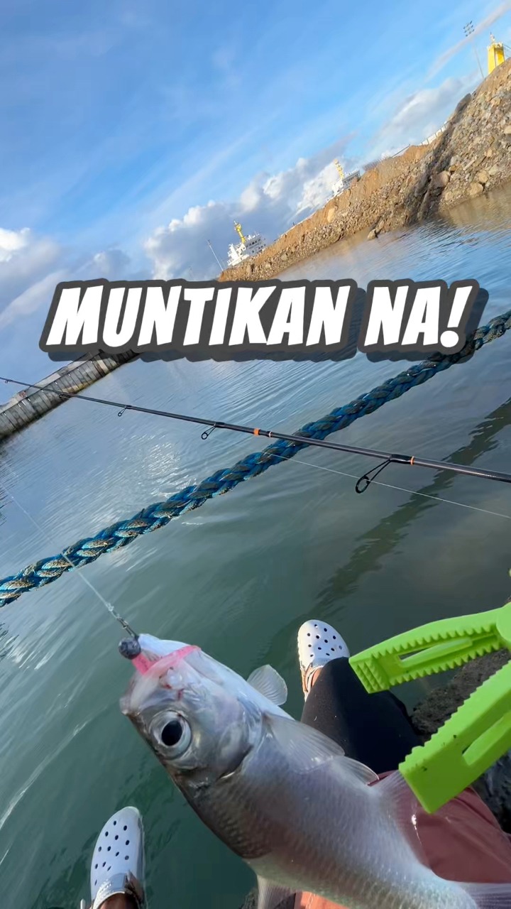 Marami sila sa spot 😂 #reels #softbait #fishing | Reel Master | Facebook
