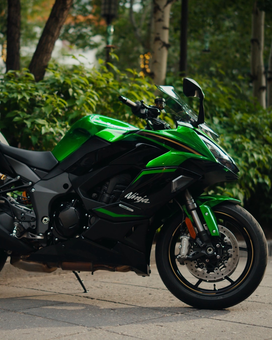 KAWASAKI NINJA1100SX 2025SRP:799,000🔥For more inquiries: ➡️Jo