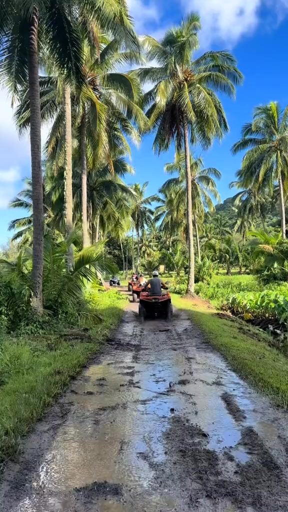 Heading to the Cook Islands? This quad bike tour is a super fun way to ...