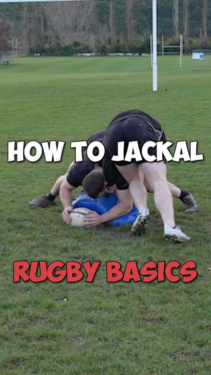 Elite Rugby App