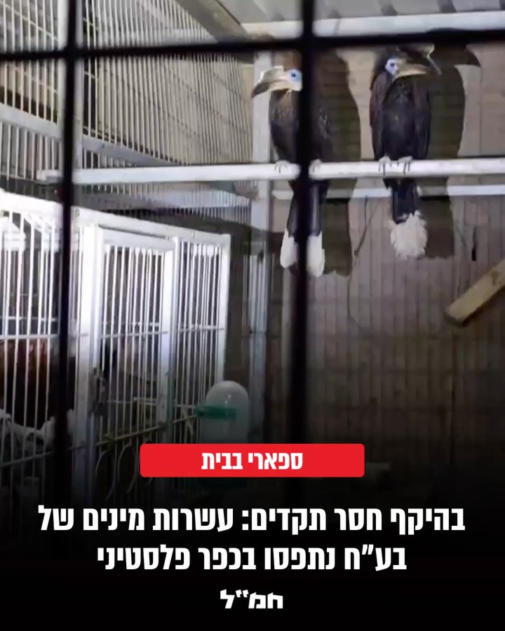 חמ