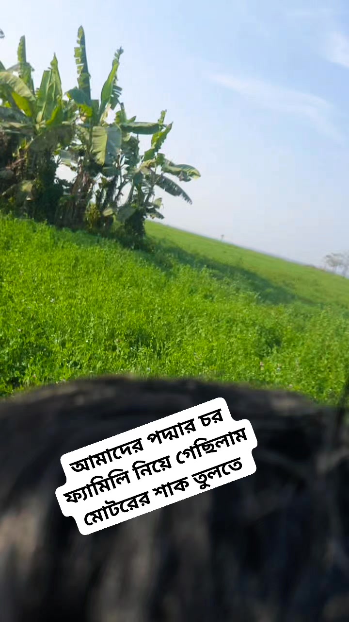 পদ্মার চরে মোটরের শাক তুলতে গেছিলাম #সেজোভাই #পদ্মারচর #reelsviralシ