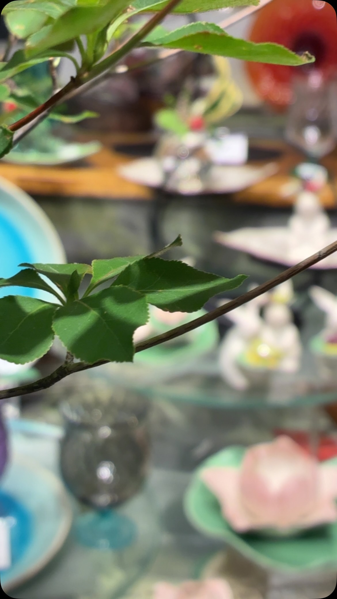 田中恒子の器 TSUNE Gallery | Shibuya-ku Tokyo