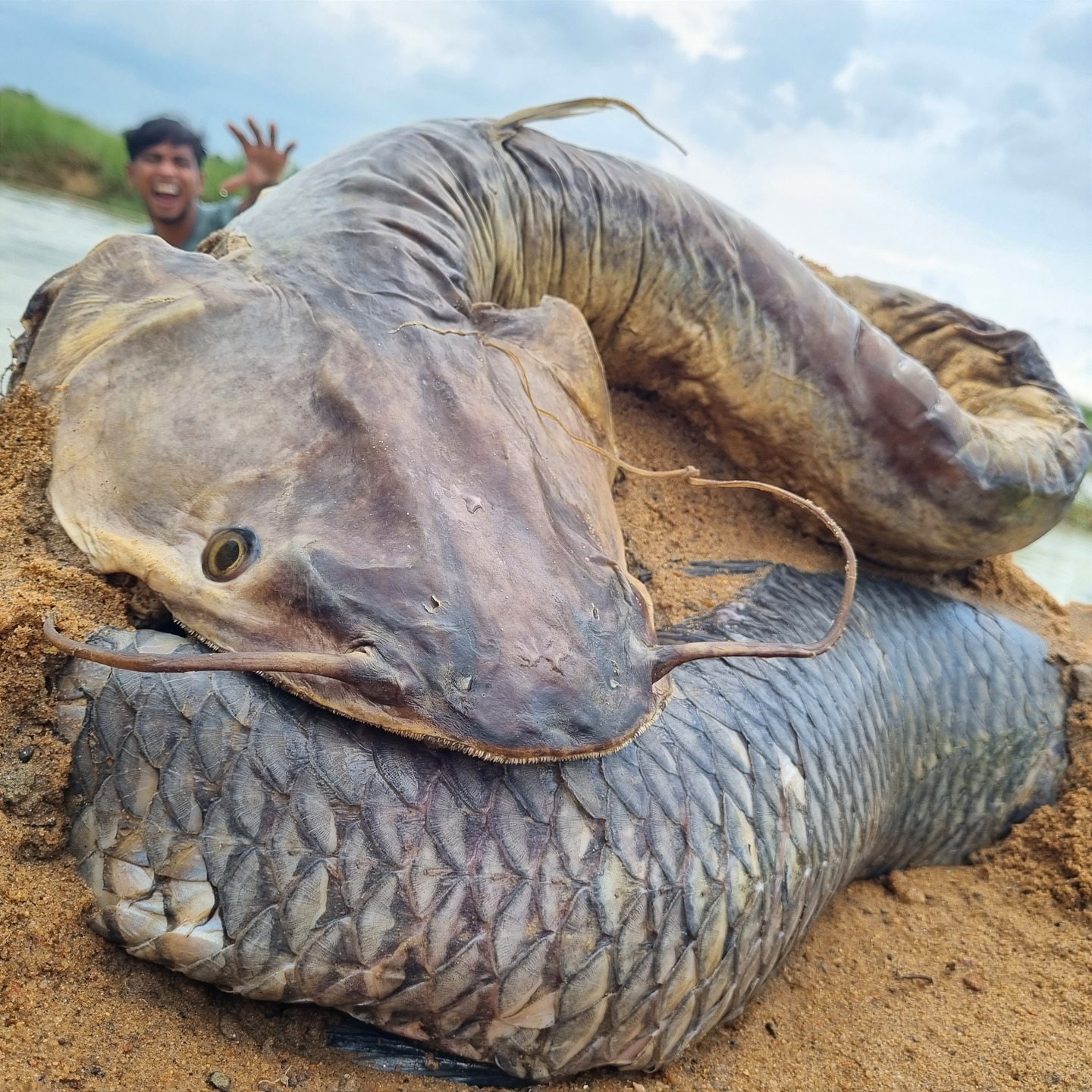 Wow Unbelievable Technique Fish Catching System Fisherman Catching Big ...