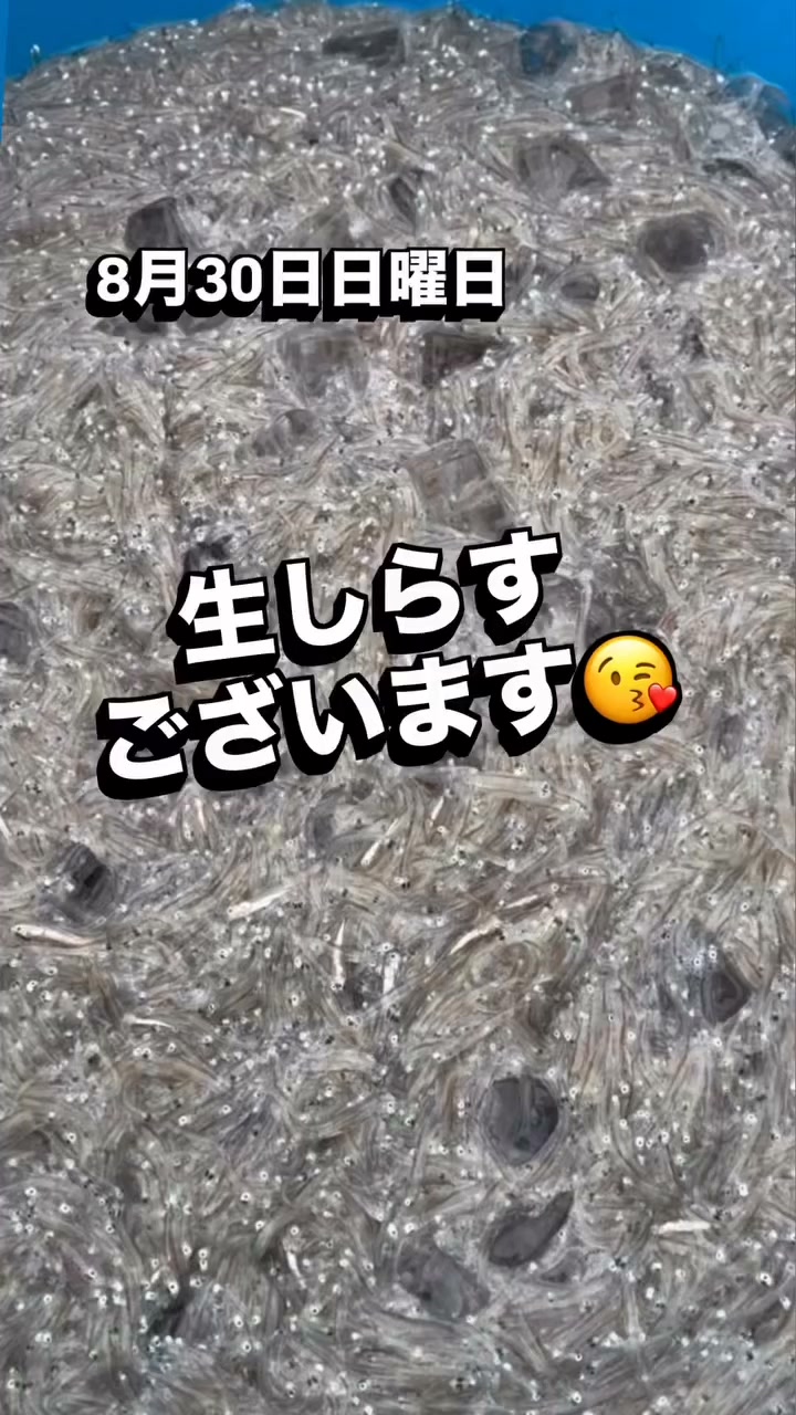 松 道 丸