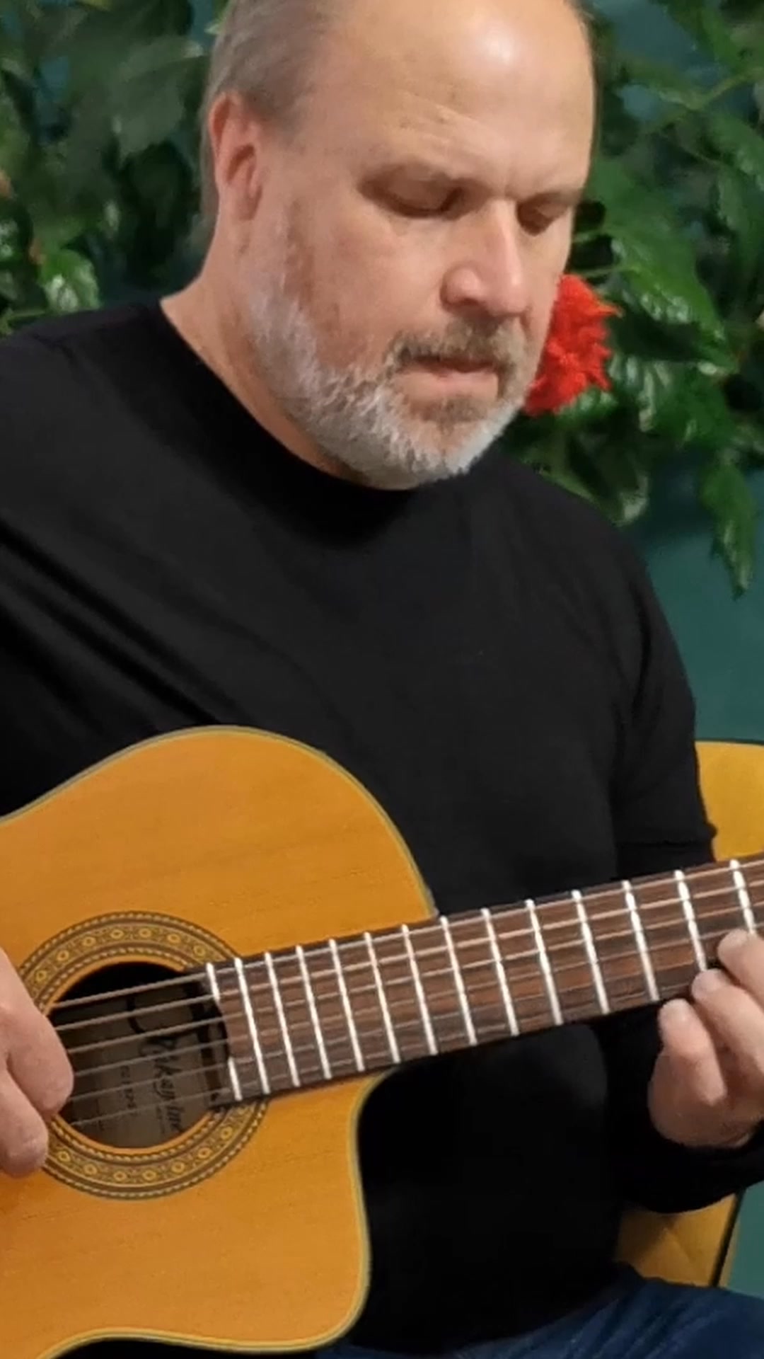 Knyga norintiems išmokti groti gitara 