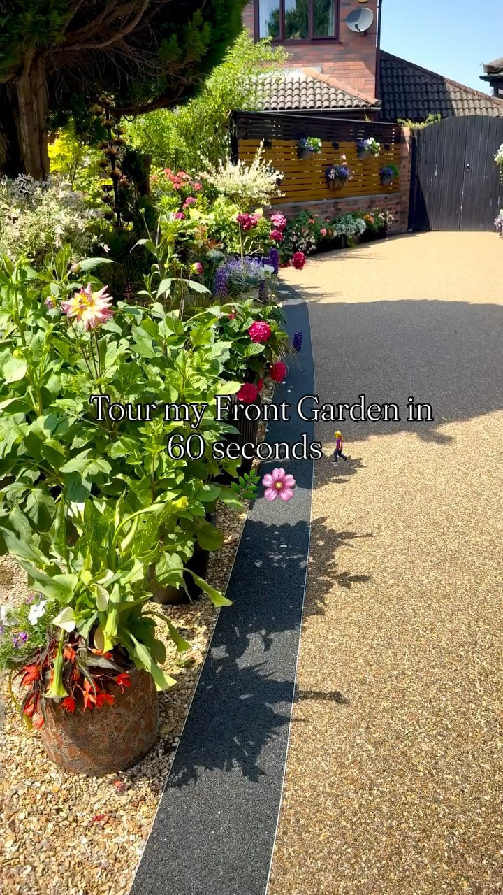 Take a 60 second stroll through my front garden and explore this year's ...