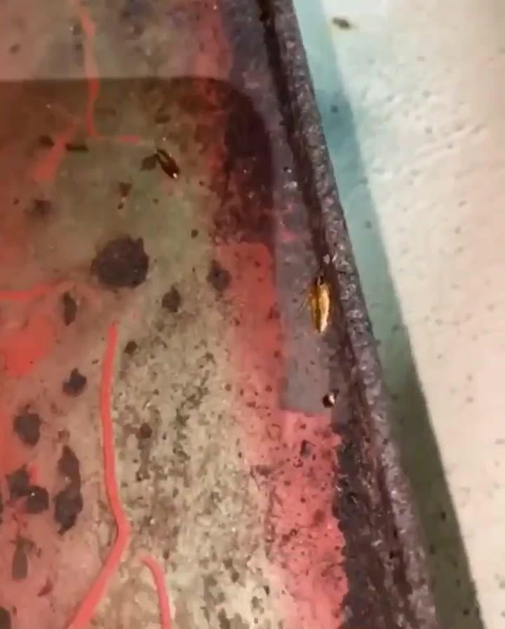 Keeping your building garbage chutes clean is so important.👨🏻‍🔬 Without ...
