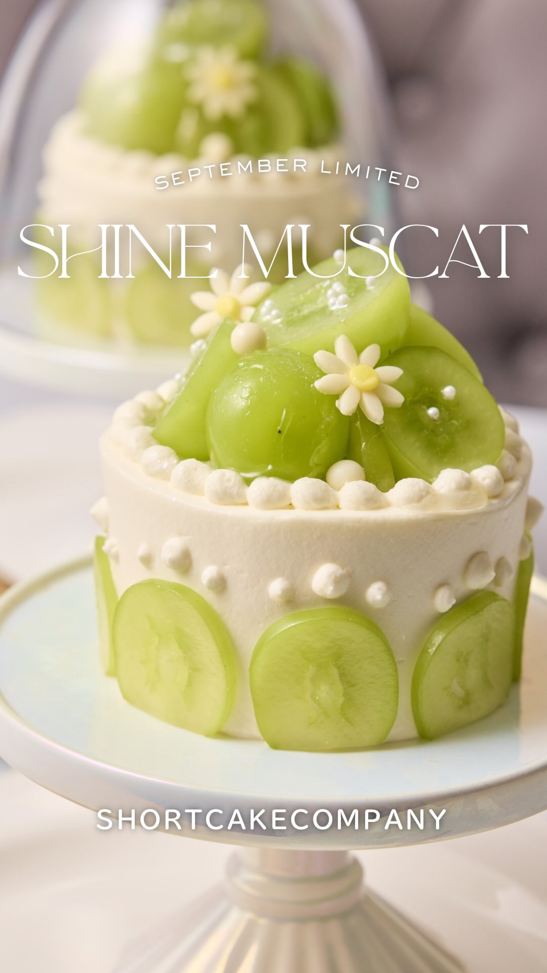 ショートケーキカンパニー | Shinjuku-ku Tokyo