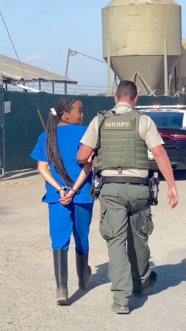 ARRESTED: Five animal rescuers were just arrested for saving two sick ...