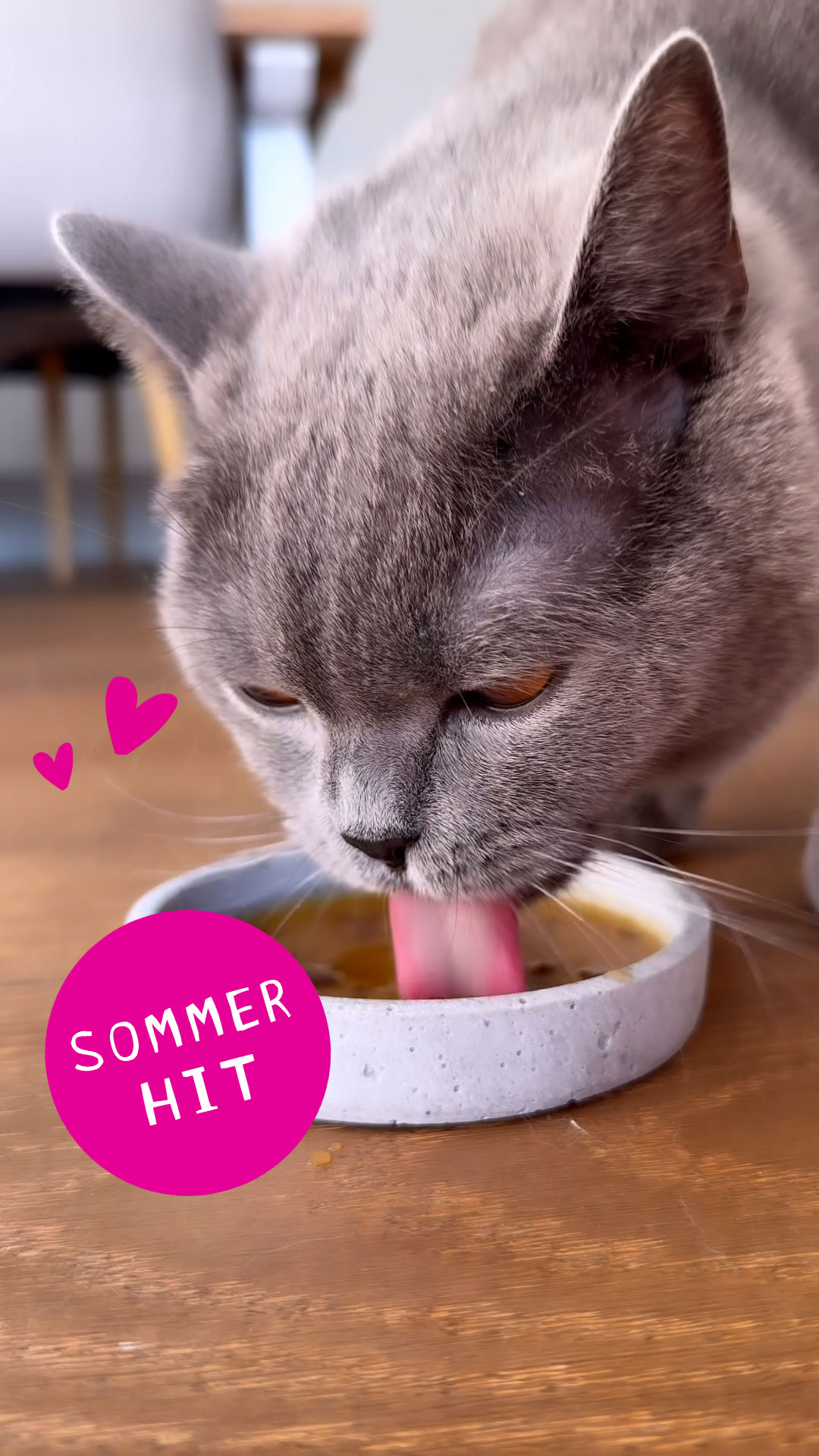 l carnitin katze 💗 Im Sommer ist die Flüssigkeitsaufnahme für Katzen besonders wichtig! Mit unserem köstlichen Vitakraft® DRINK animierst du deinen Liebling ganz einfach zu einem positiven Trinkverhalten. Gleichzeitig Construction on Active Jobsites Curve:P92 MERCH:BFCM 2025