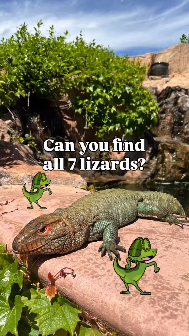 🦎👀 Can you spot ALL 7 hidden lizards? Test your reptile-spotting skills ...
