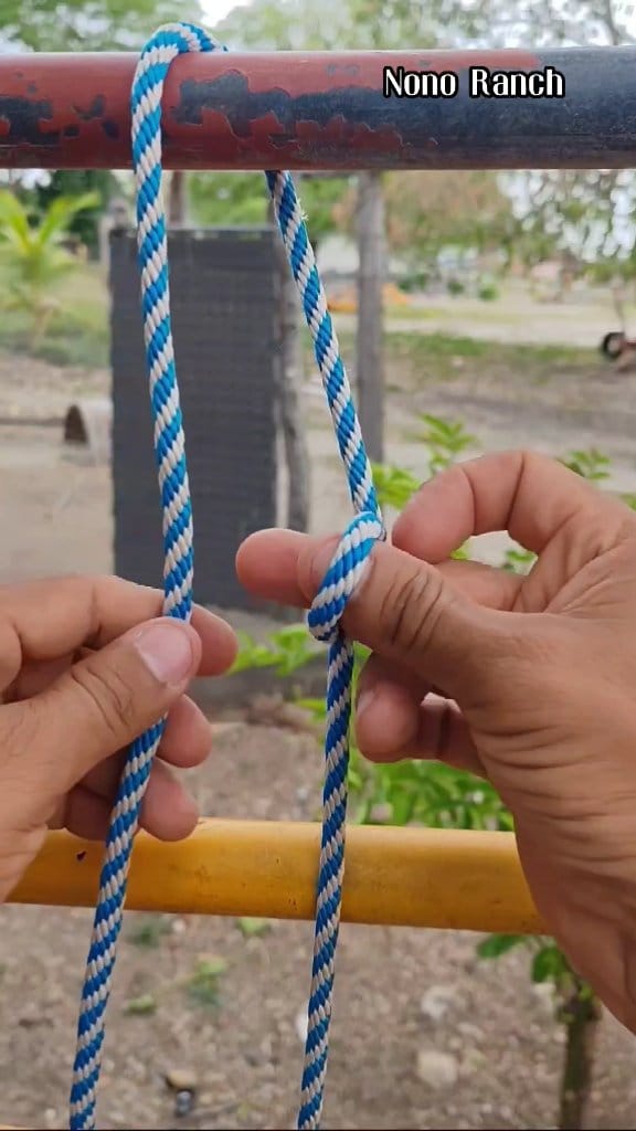 Nudo simple que debes saber #amarres #nudos #knot 💯😉 | Nono Ranch