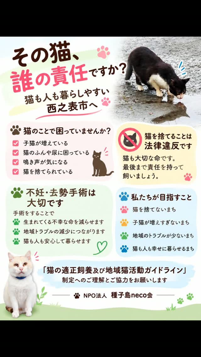 島neco会